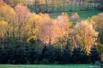 Montagne Noire des Cammazes
